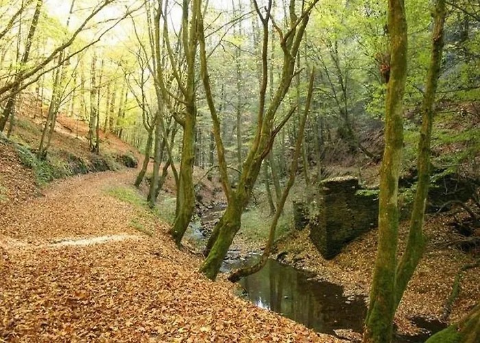 Lovely In Moerz With Garden & Balcony * Lahr (Hunsruck)